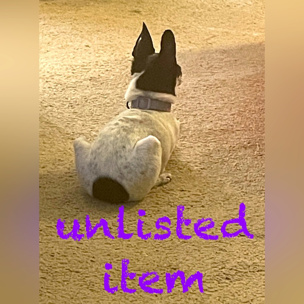 Unlisted Item
